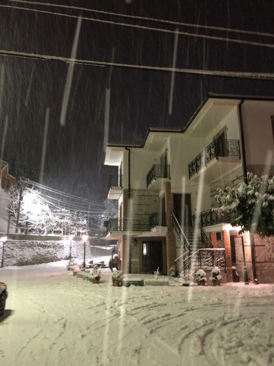 Vila Ilo Tushemisht Exteriér fotografie